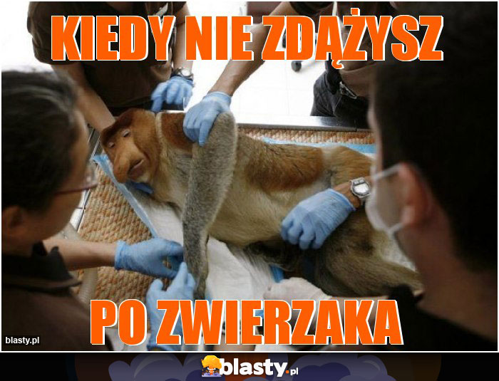Kiedy nie zdążysz