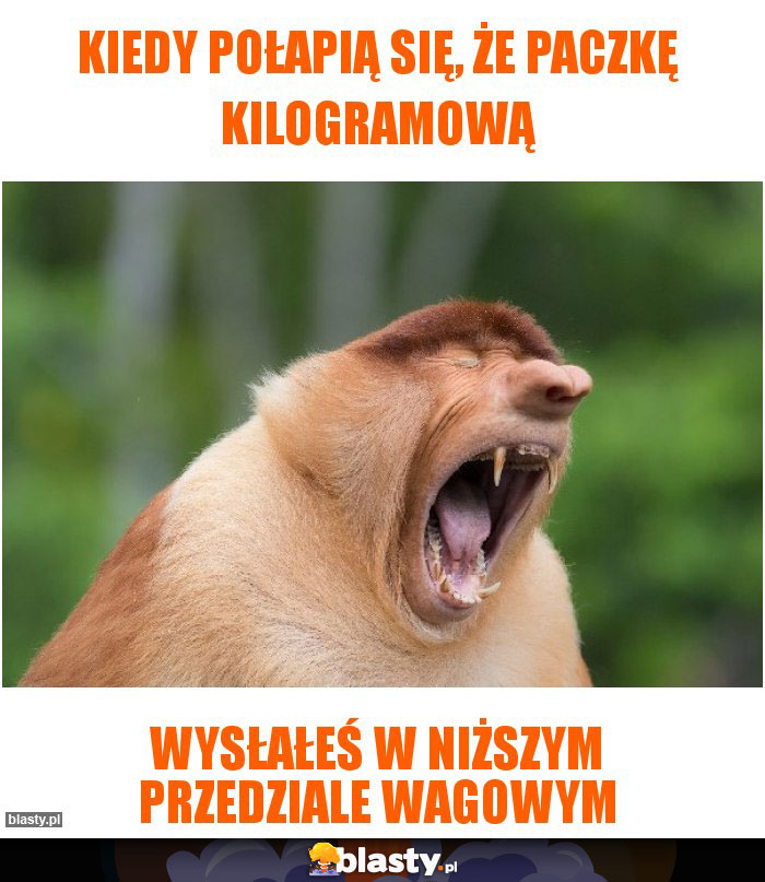 Kiedy połapią się, że paczkę kilogramową