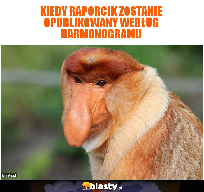 kiedy raporcik zostanie opublikowany według harmonogramu