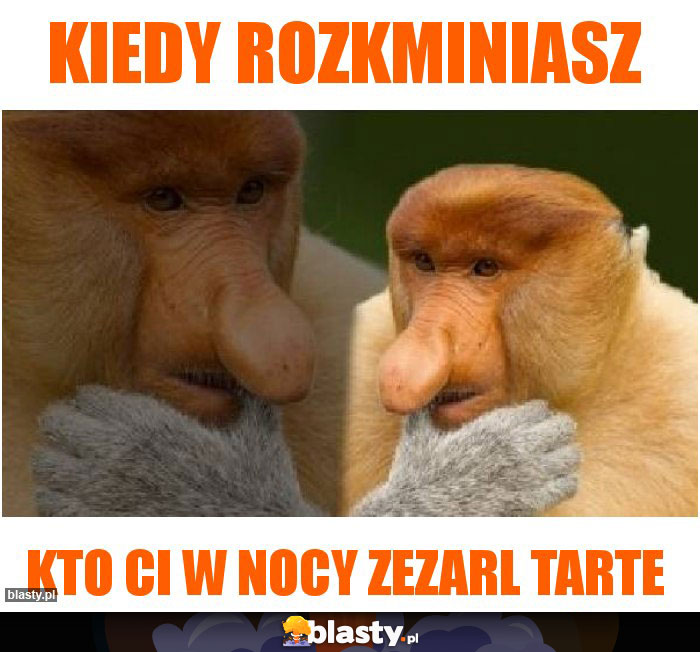kiedy rozkminiasz