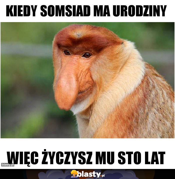 Kiedy somsiad ma urodziny