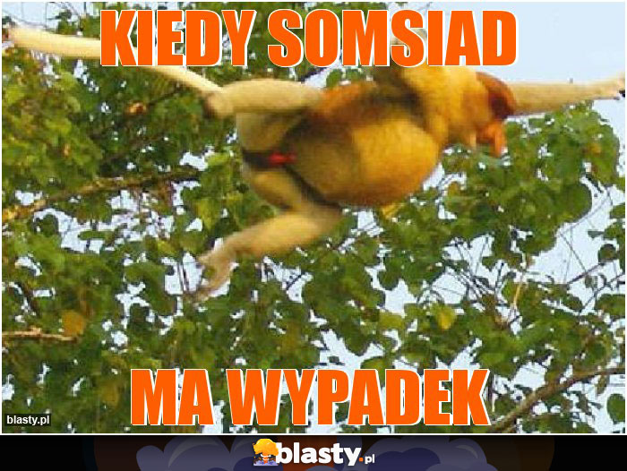 Kiedy somsiaD