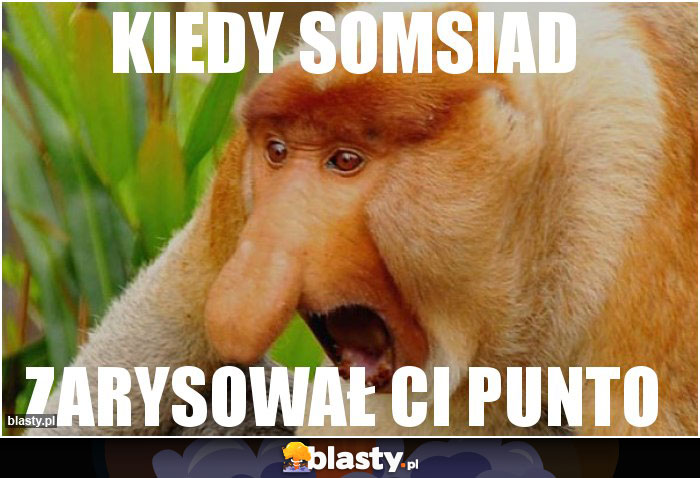 KIEDY SOMSIAD