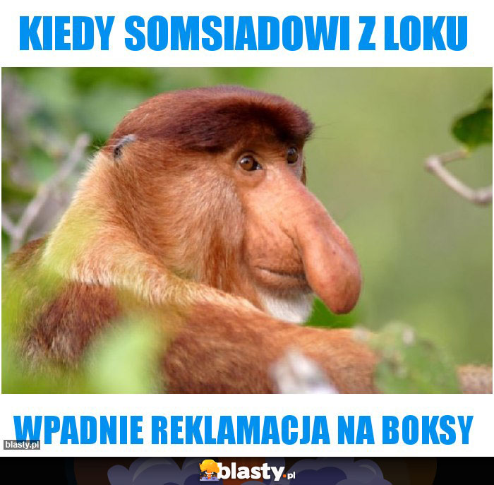 Kiedy somsiadowi z LOKU