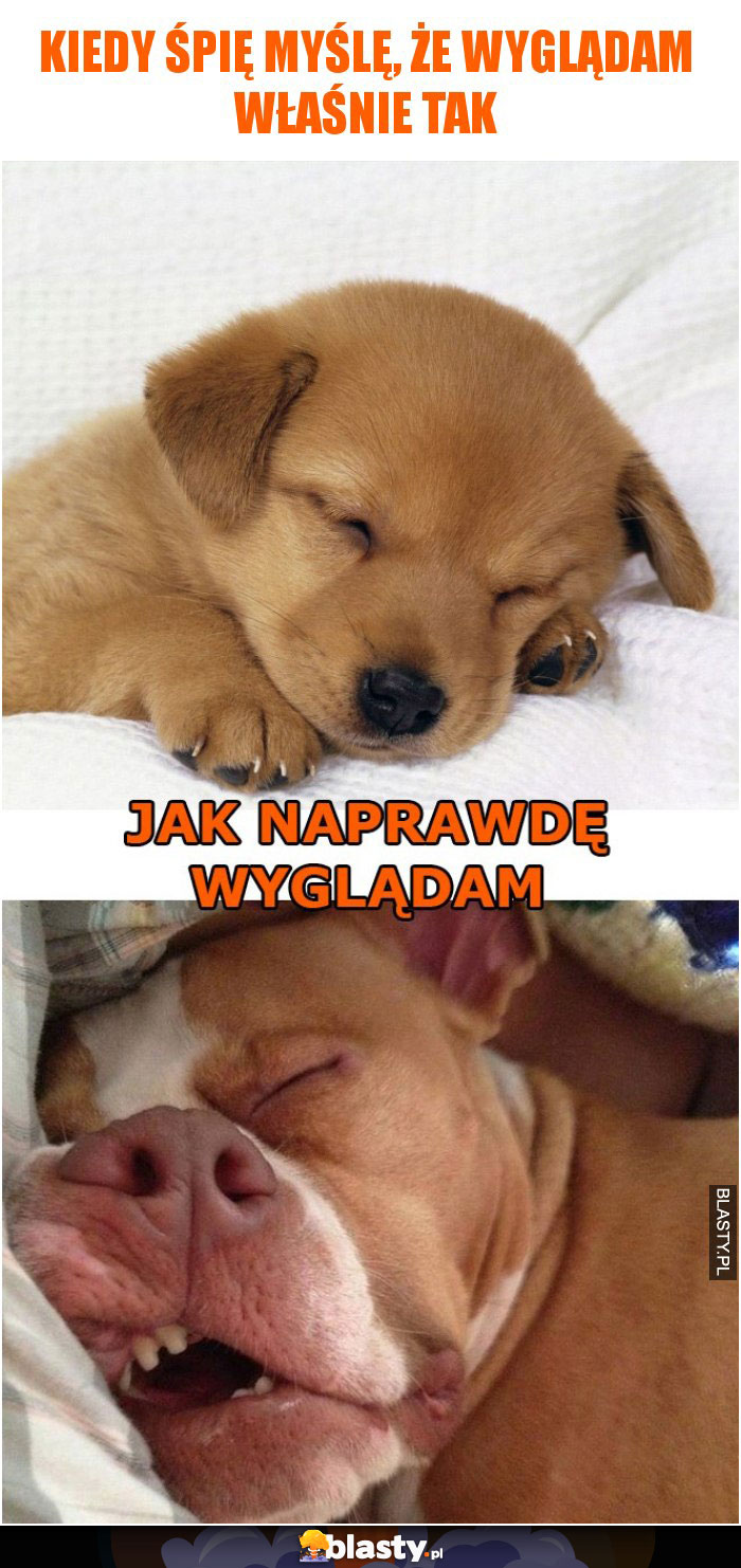 Kiedy śpię myślę, że wyglądam właśnie tak vs jak naprawdę wyglądam