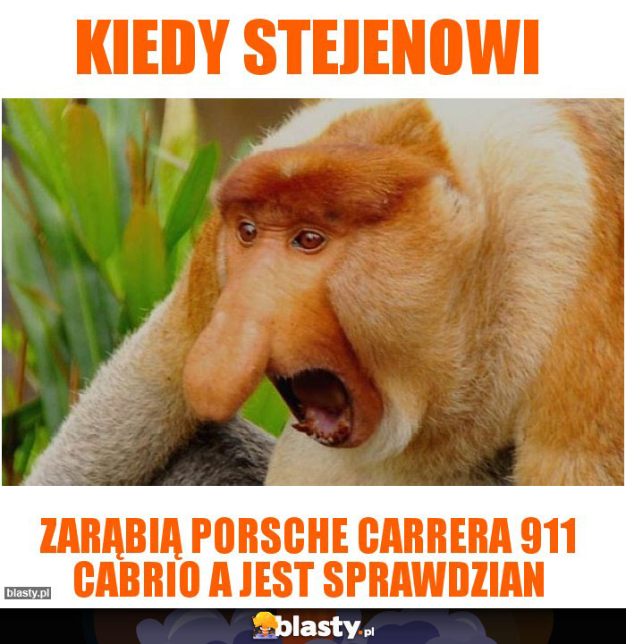 Kiedy stejenowi