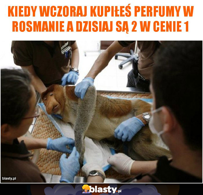 Kiedy wczoraj kupiłeś perfumy w rosmanie a dzisiaj są 2 w cenie 1