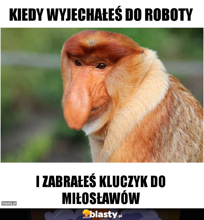 Kiedy wyjechałeś do roboty