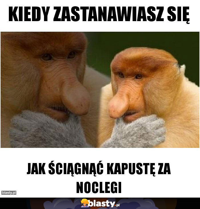 Kiedy zastanawiasz się