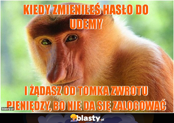 Kiedy zmieniłeś hasło do udemy