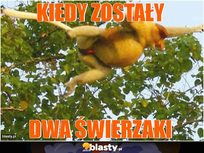 Kiedy zostały