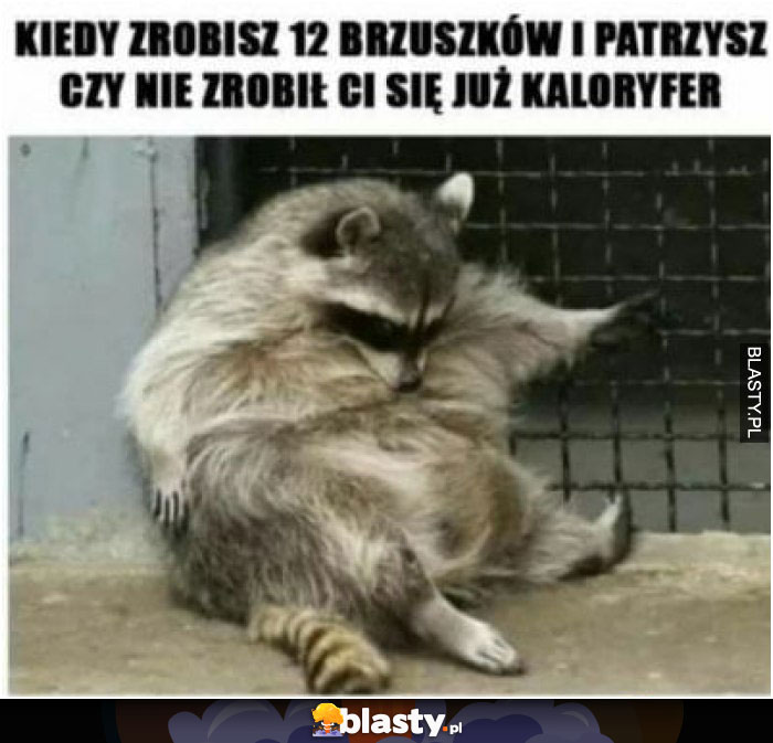 Kiedy zrobisz 12 brzuszków