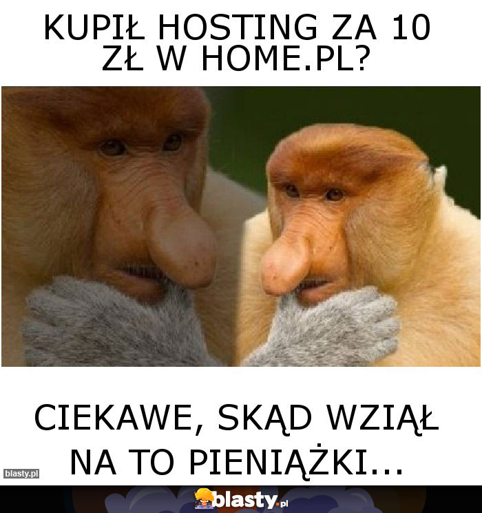 Kupił hosting za 10 zł w home.pl?