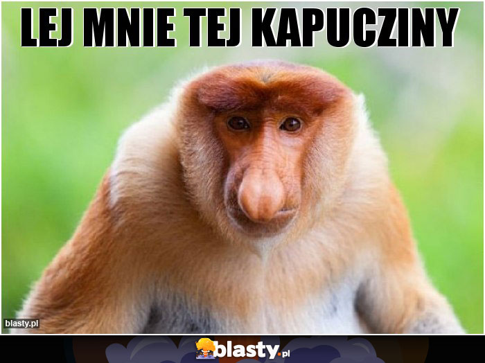 LEJ MNIE TEJ KAPUCZINY