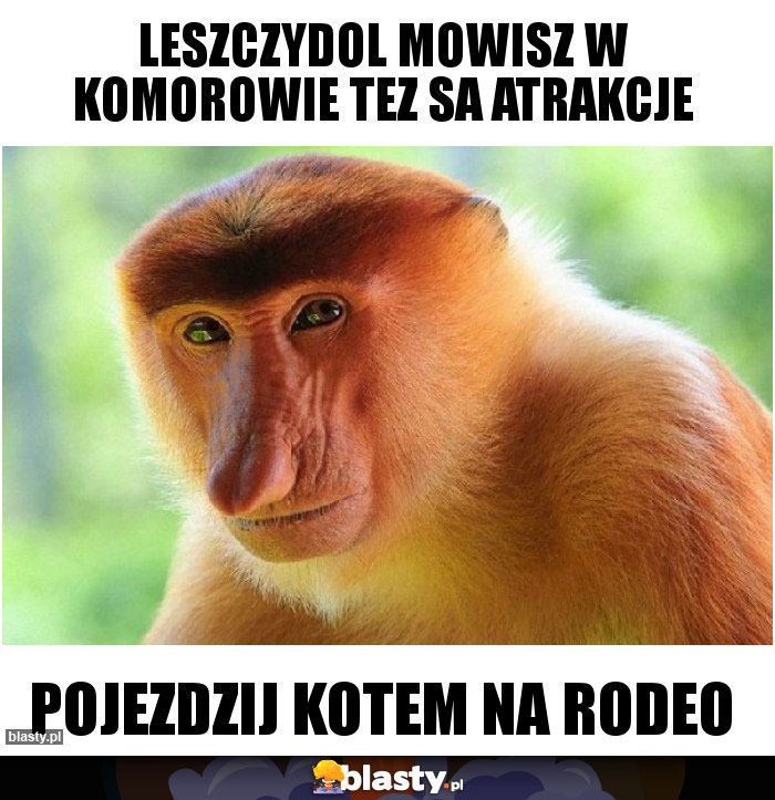 Leszczydol mowisz w komorowie tez sa atrakcje
