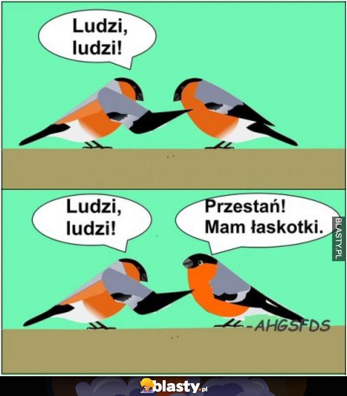 Ludzi ludzi