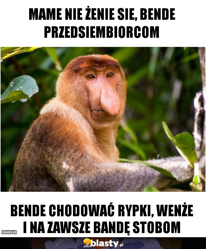 Mame nie żenie sie, bende przedsiembiorcom