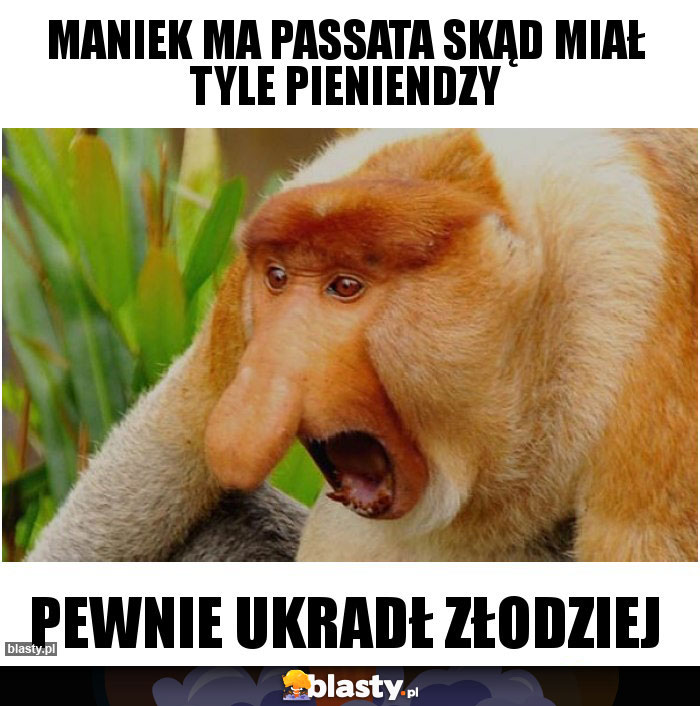 Maniek ma passata skąd miał tyle pieniendzy