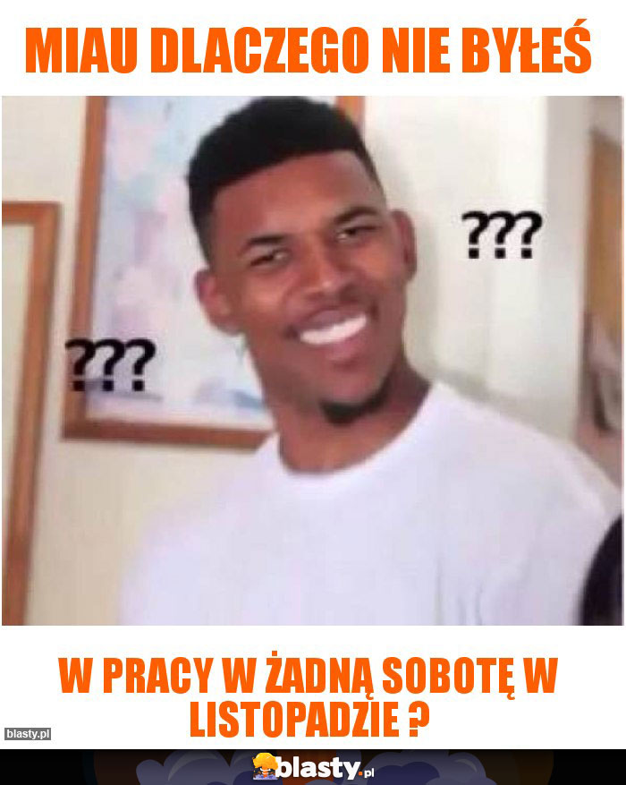 Miau dlaczego nie byłeś