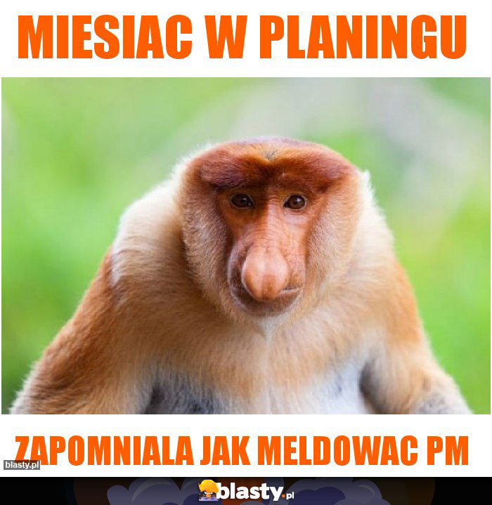 MIESIAC W PLANINGU