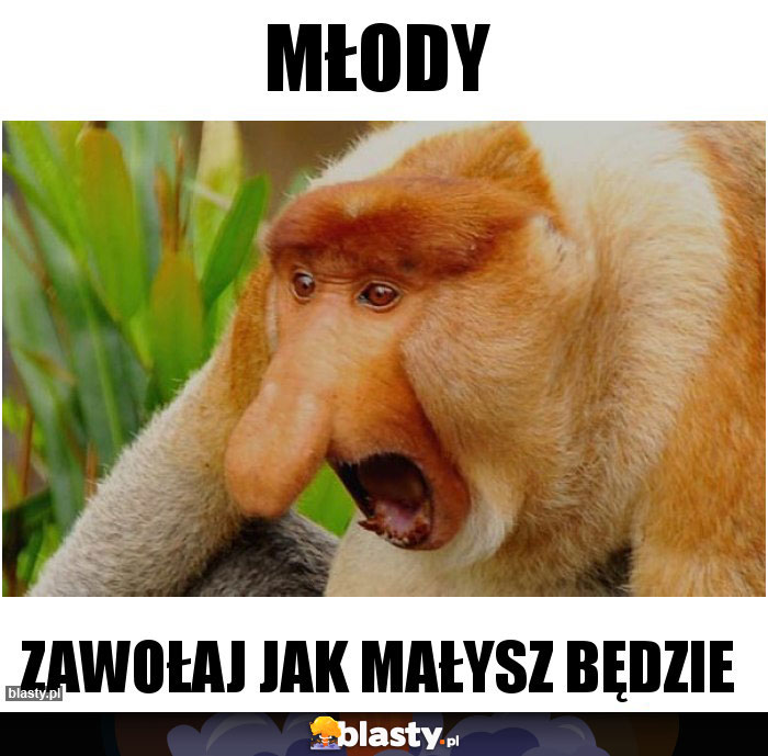 Młody