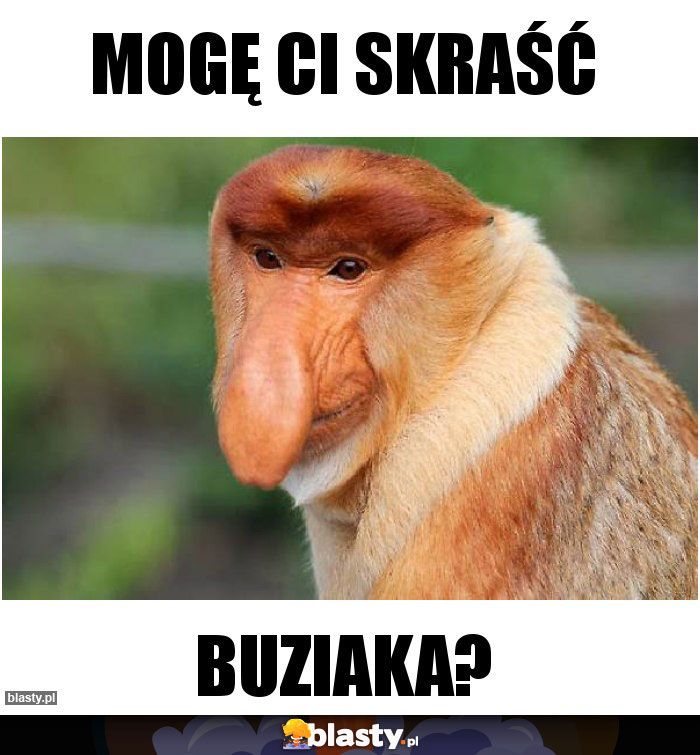 mogę ci skraść