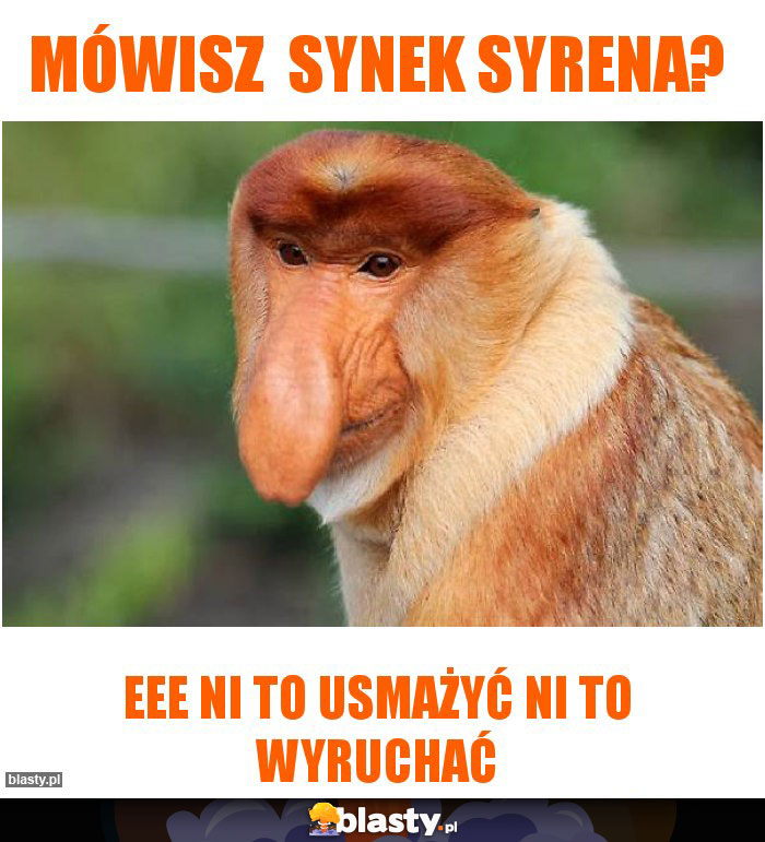 mówisz  synek syrena?