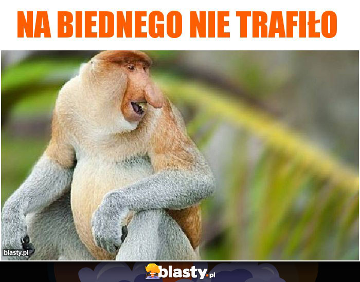 Na biednego nie trafiło