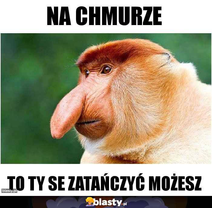 Na chmurze