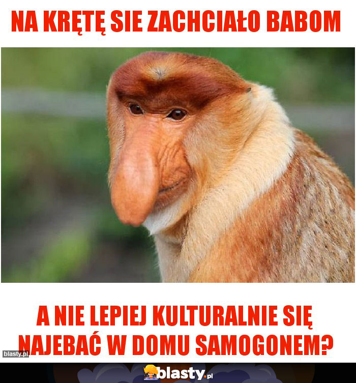 Na krętę sie zachciało babom