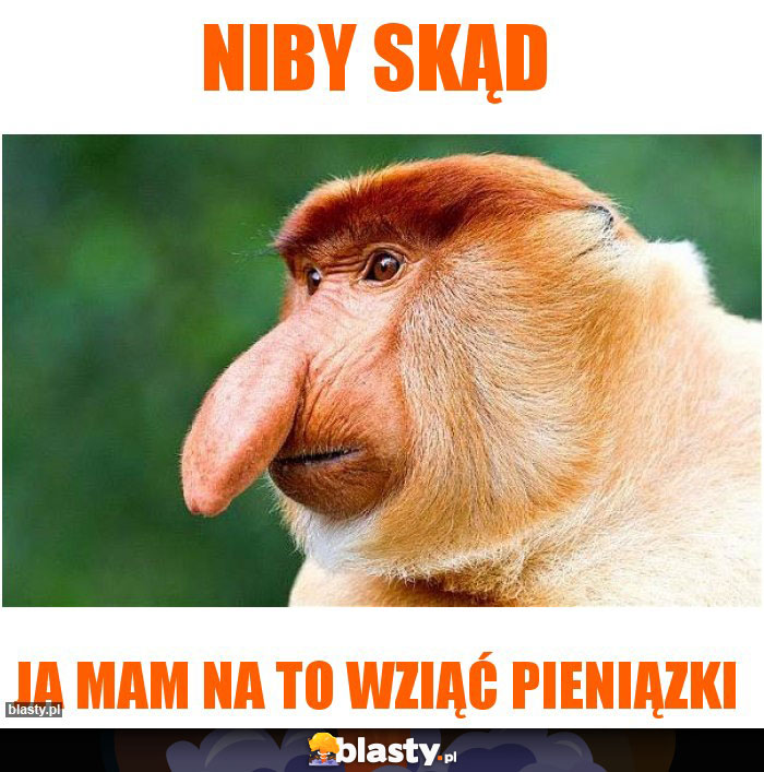NIBY SKĄD