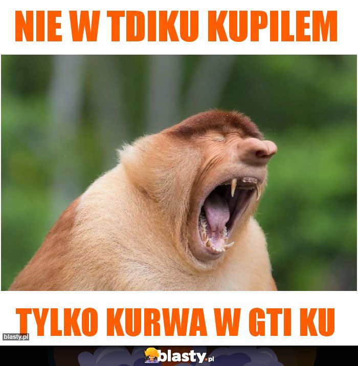 Nie w TDIku kupilem