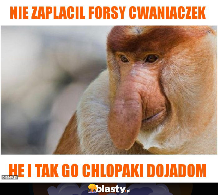Nie zaplacil forsy cwaniaczek