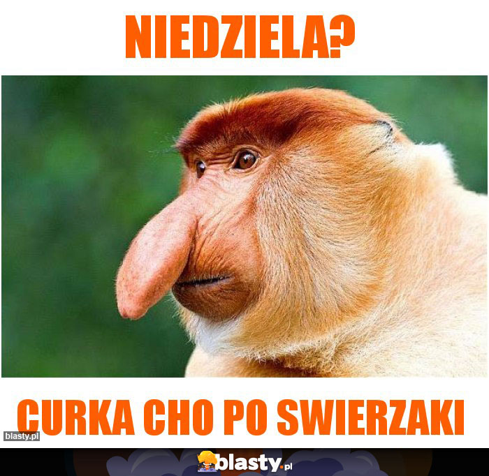 NIEDZIELA?