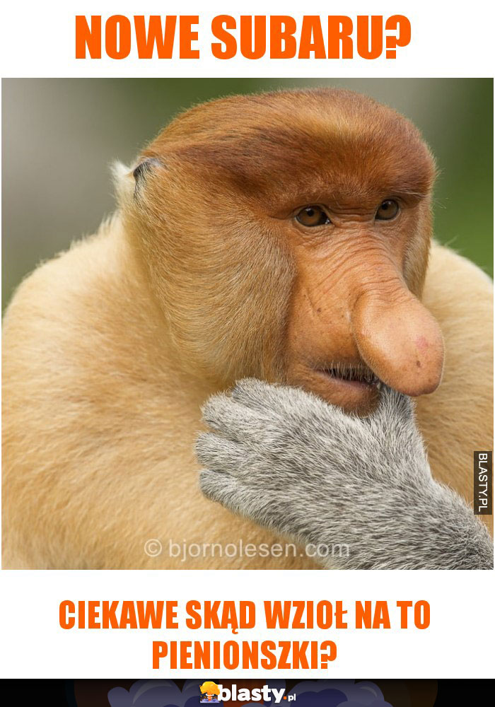 NOWE SUBARU?