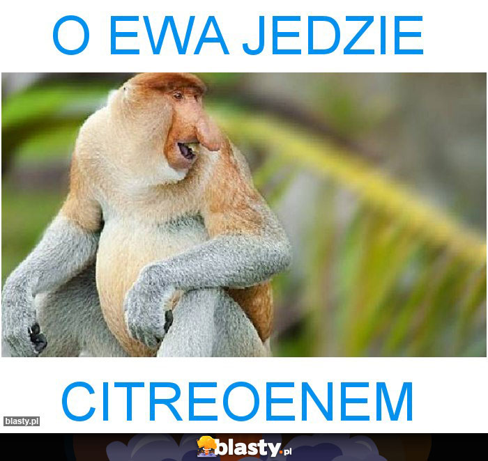 O Ewa jedzie
