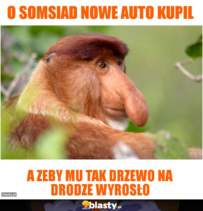 o somsiad nowe auto kupil