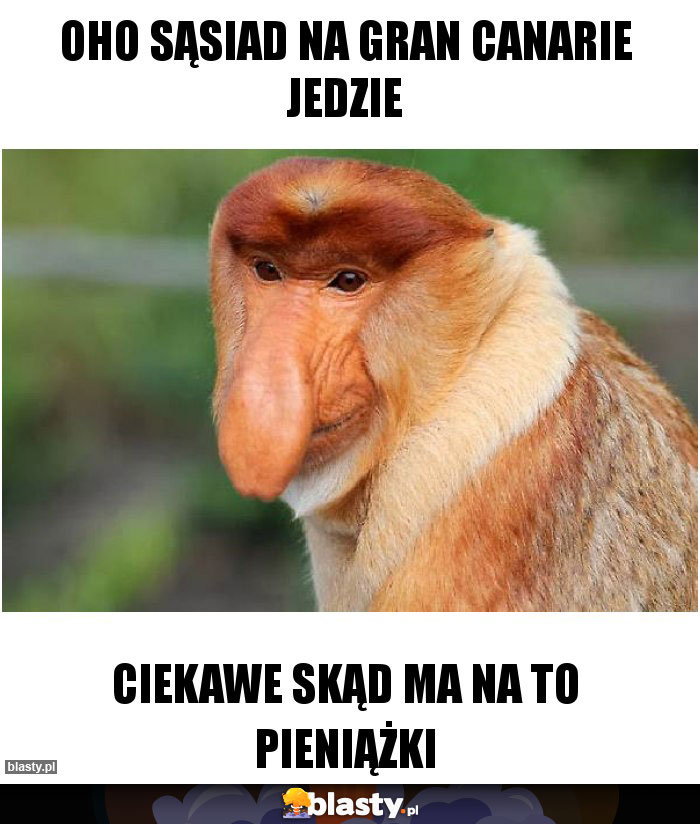 Oho sąsiad na gran canarie jedzie