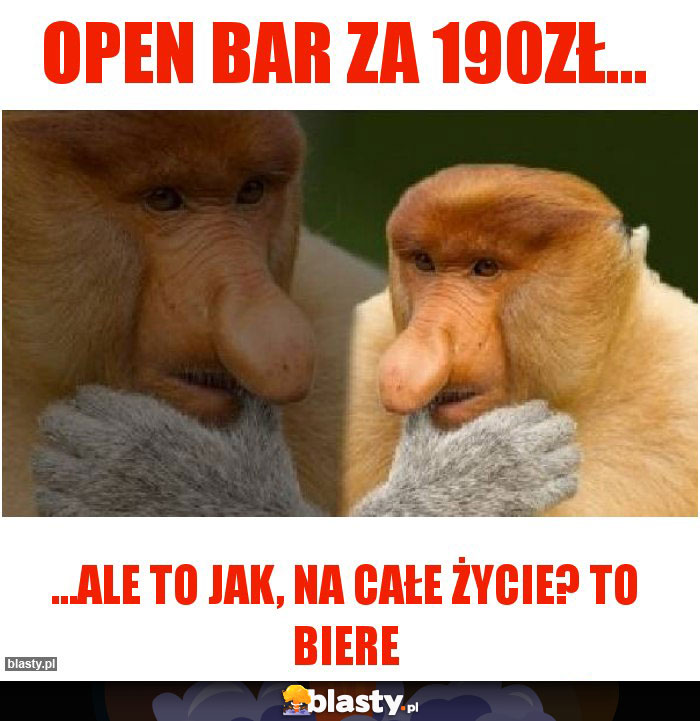 Open bar za 190zł...