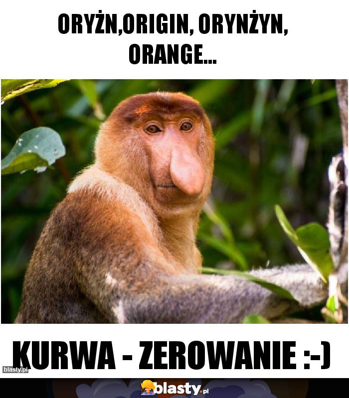 Oryżn,origin, orynżyn, Orange...