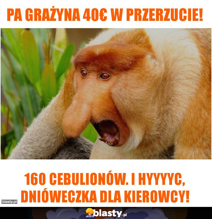 PA Grażyna 40€ w przerzucie!
