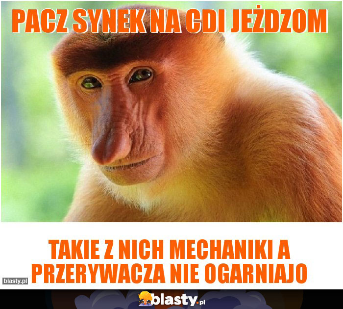 Pacz synek na CDI jeżdzom