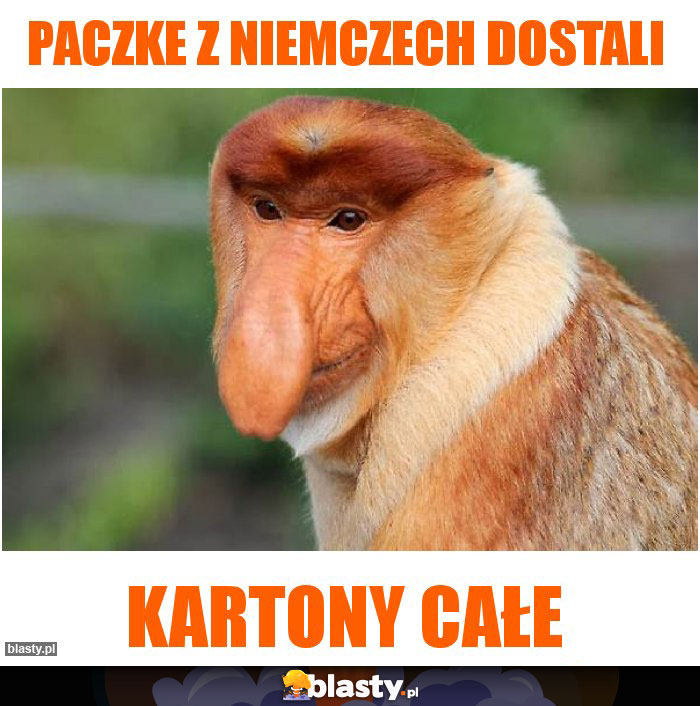 Paczke z Niemczech dostali