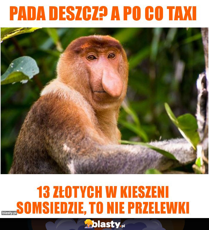 pada deszcz? a po co taxi