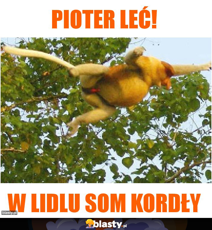 Pioter leć!