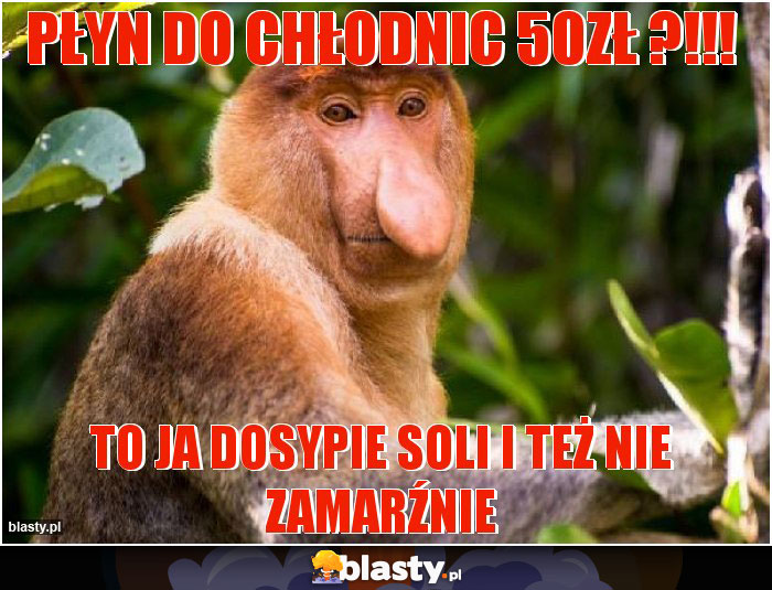 Płyn do chłodnic 50zł ?!!!
