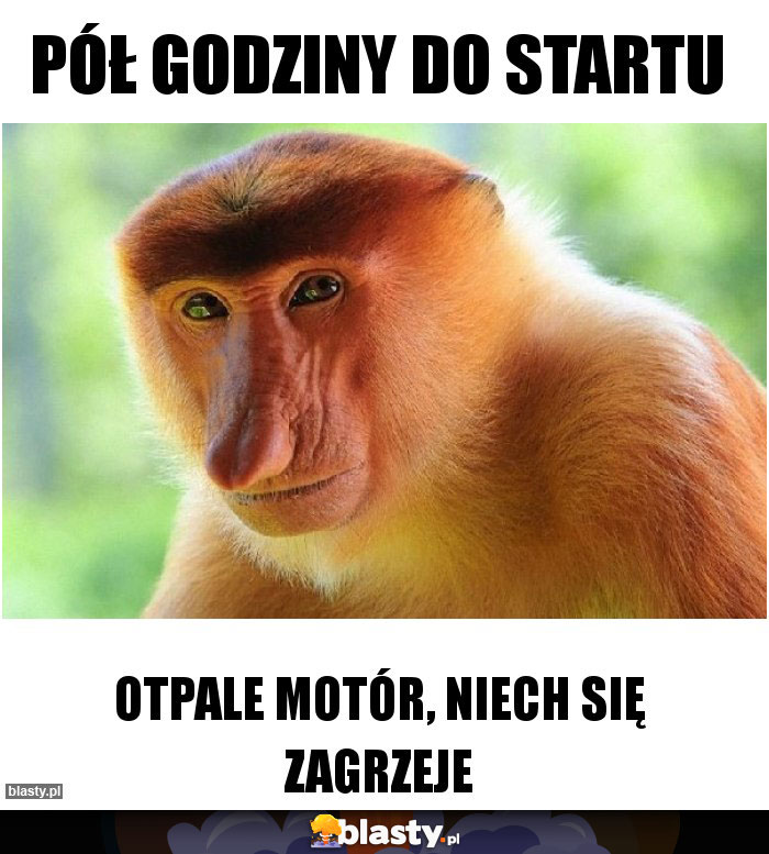 Pół godziny do startu