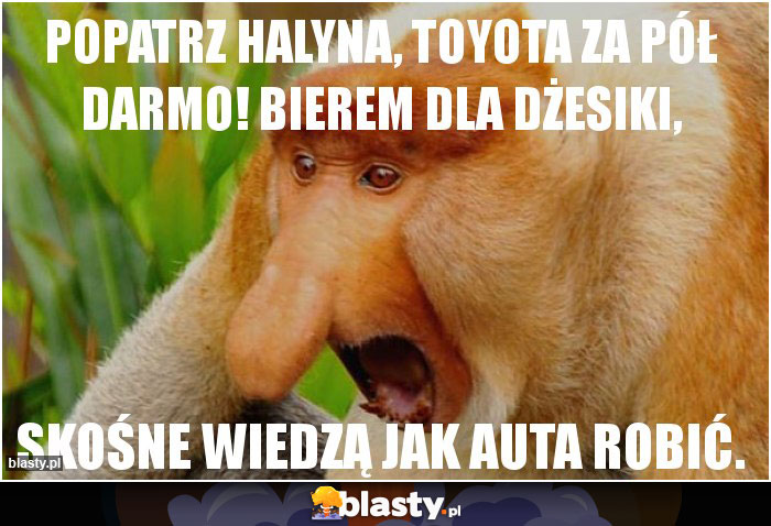 popatrz Halyna, Toyota za pół darmo! Bierem dla Dżesiki,