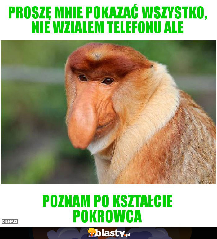 Proszę mnie pokazać wszystko, nie wzialem telefonu ale