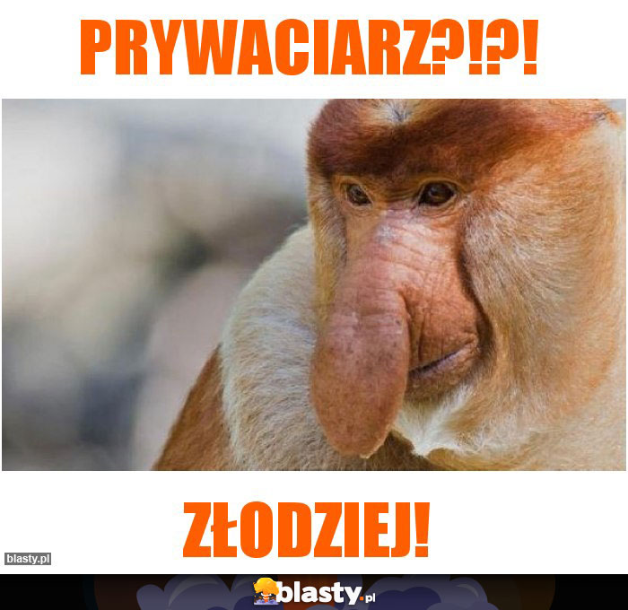PRYWACIARZ?!?!